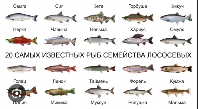 Отказываетесь брать икру? Тогда вот вам!