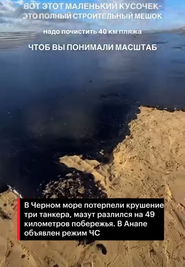 Порносайты смотрят во всём мире, это как котлету заказать, — Путин