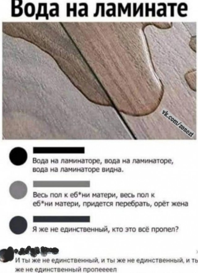 Весёлый полтишок 31.12.24