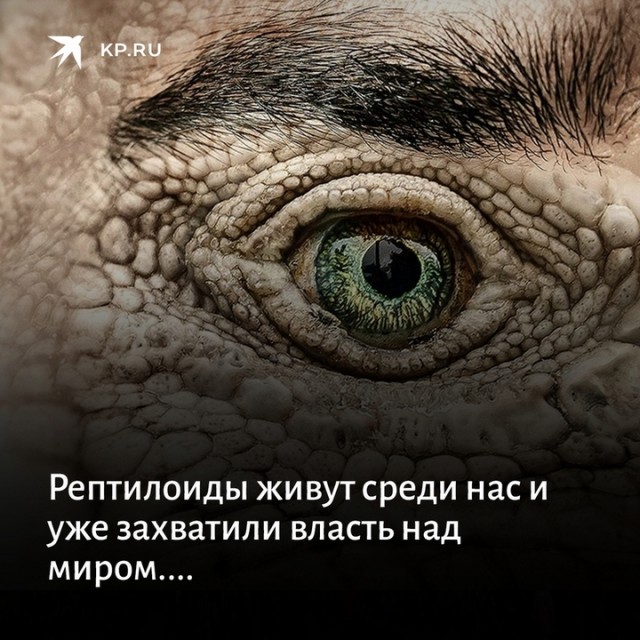 Дональд Трамп провёл телефонный разговор с Владимиром Путиным