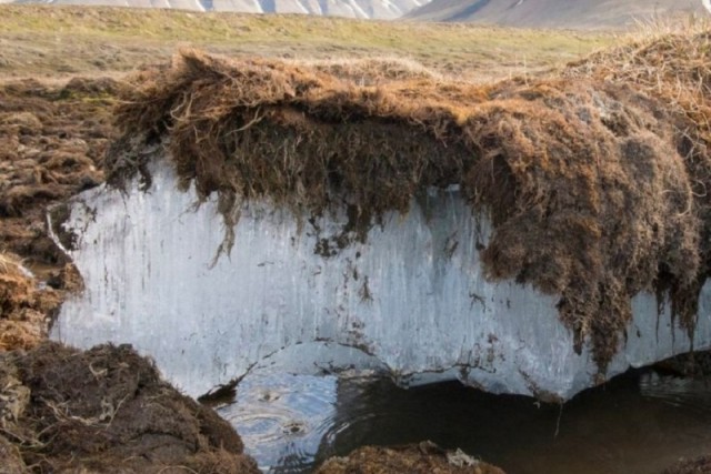 Нобелевский лауреат Чунг рассказал о множестве вирусов, спрятанных до поры в слоях вечной мерзлоты