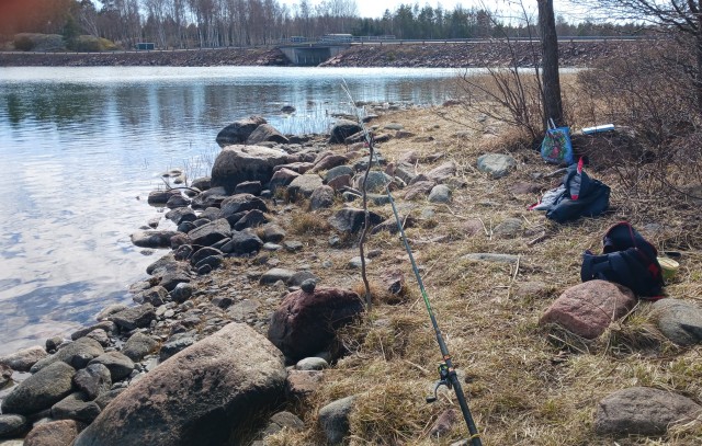 Рыбка сегодня клевала