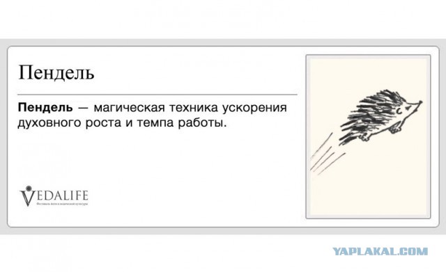 Дипломная работа книга 2 ( археологи )
