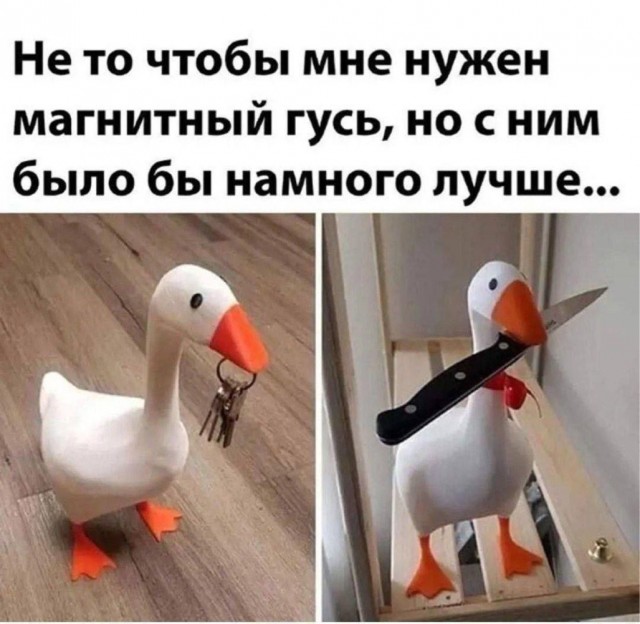 Гусиная тема