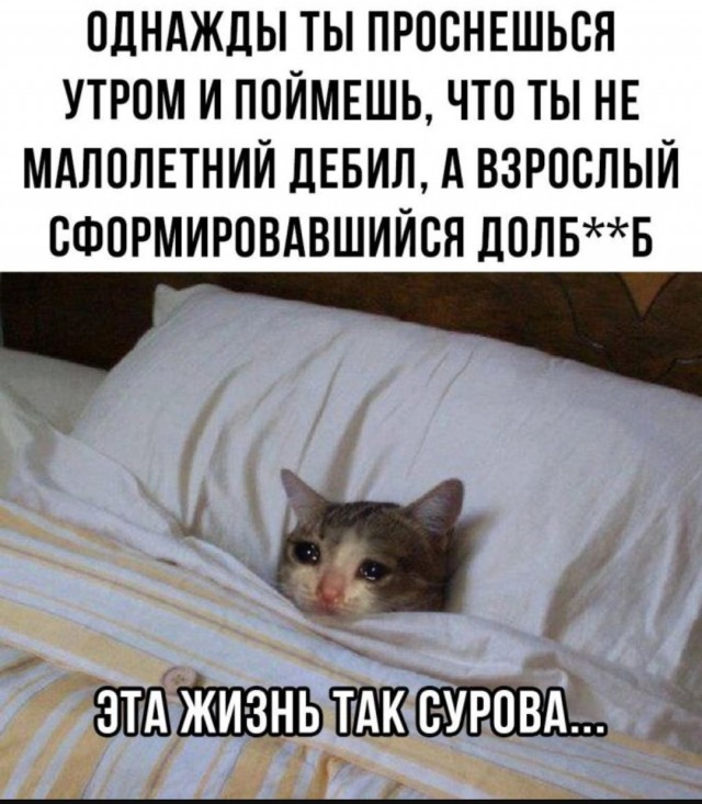 Для настроения в пятницу