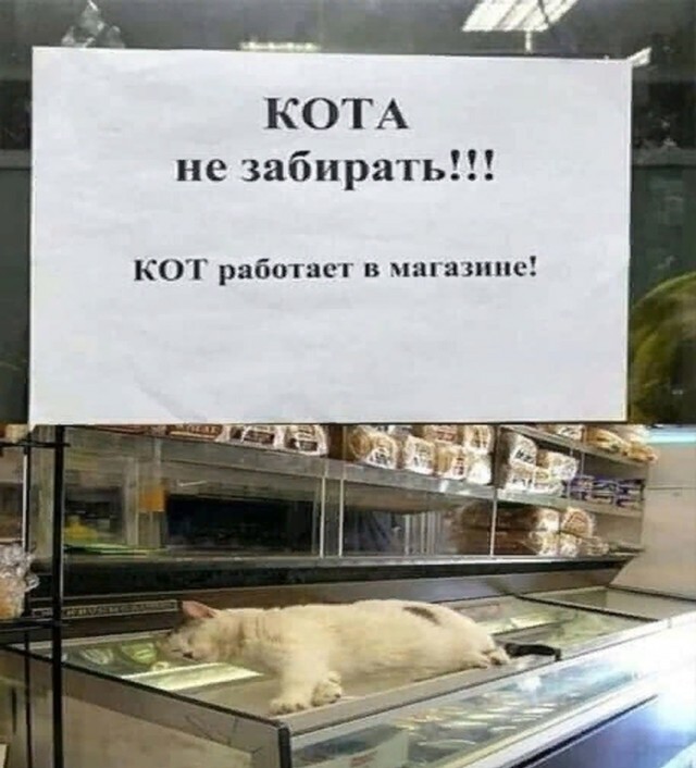 Так себе картинки 28.07.25