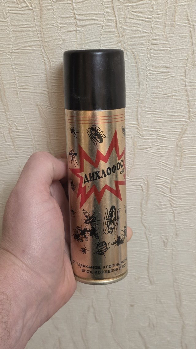 Друзья, как поймать/прогнать шершня?