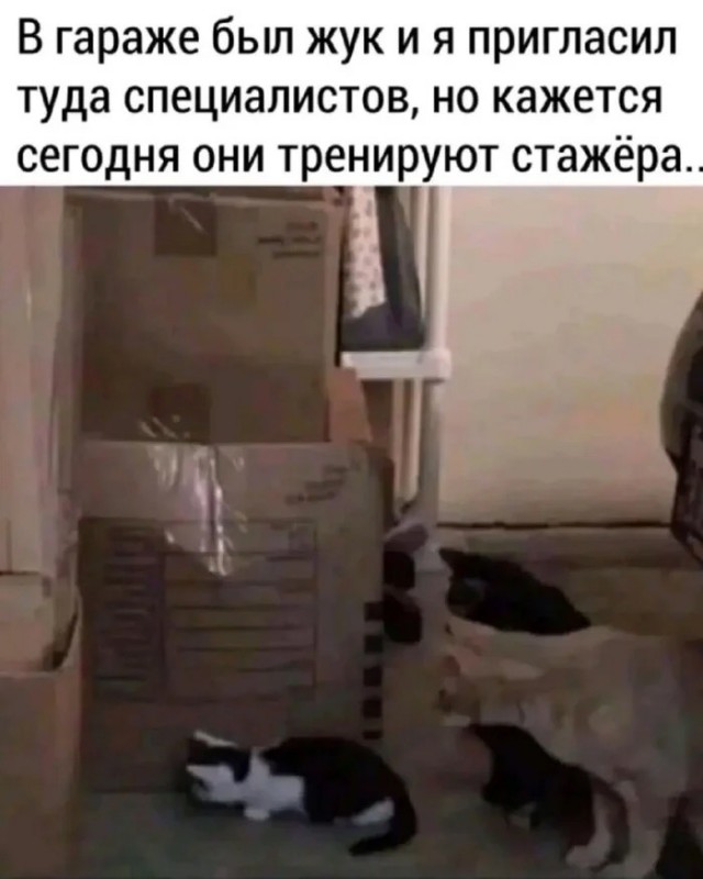 Октябрь, день десятый …