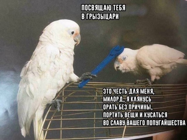 Картинки разные с надписями и без