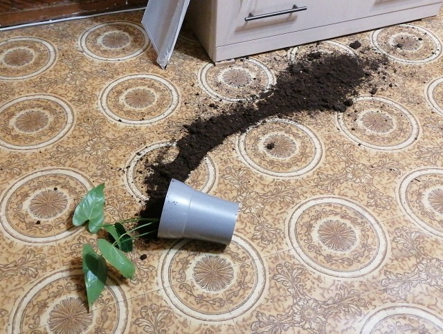 Оглянись, незнакомый прохожий
