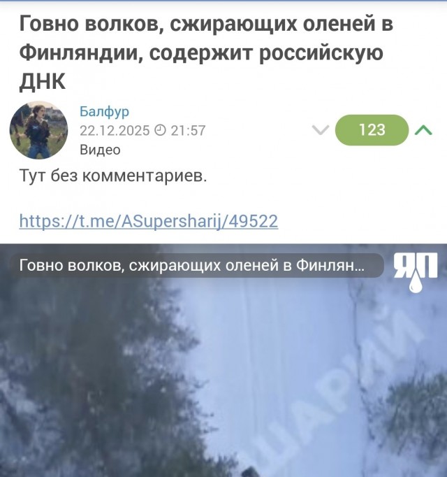 Зимние войны