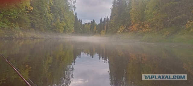 А мне ни хрена не надо