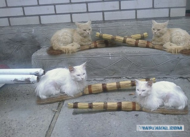 Комбо
