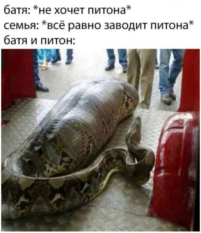 Картинки для деградации 221 (разной степени свежести)