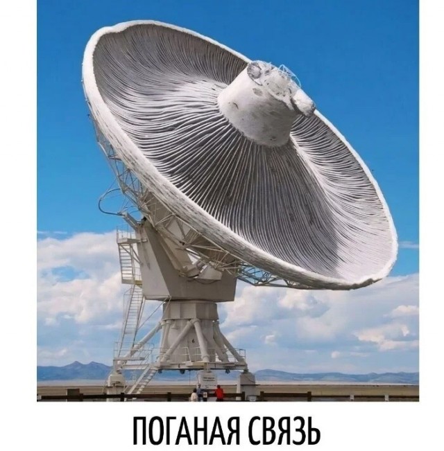 Немного картинок - продолжение 11