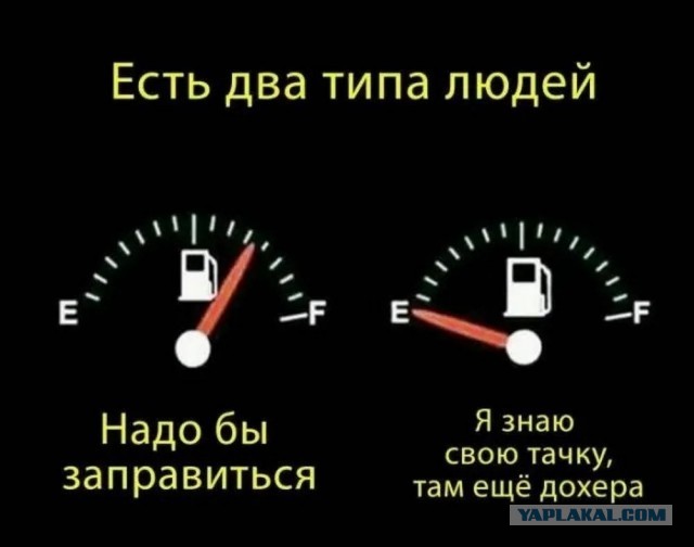 Веселые картинки в пятницу (10.07)
