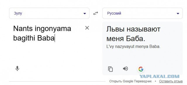 Фраза из мультика "Король Лев" на зулусском языке. Почему оставили без перевода