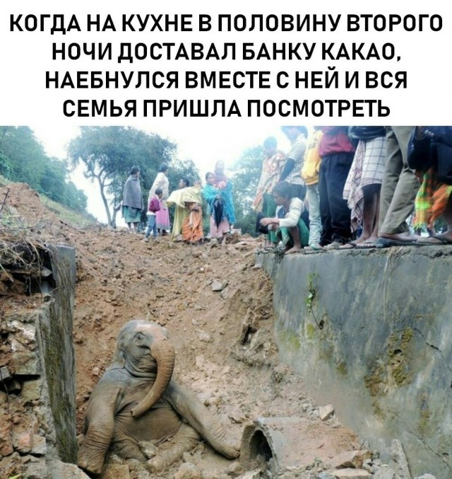 Мемы 30 штук к понедельнику