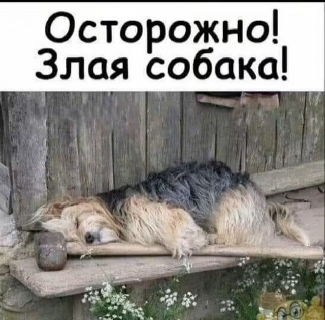 Так себе картинки 22.08.26