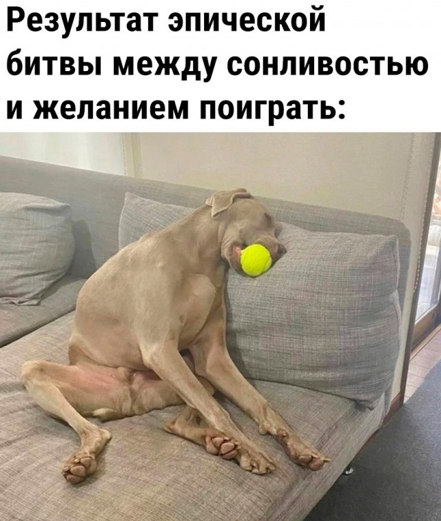Так себе картинки 25.08.26