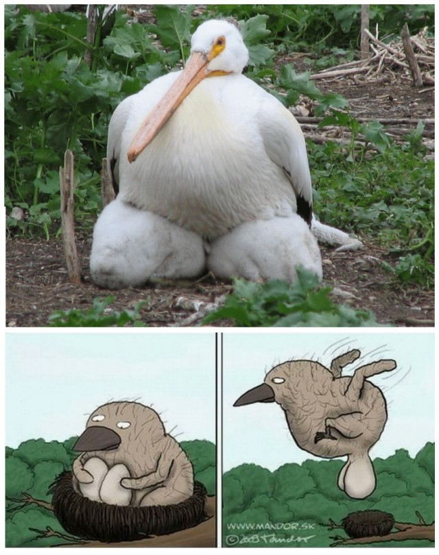 Остановись мгновенье! - 3