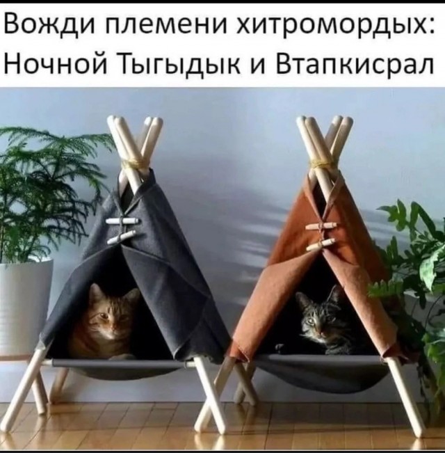 Картинки для деградации 293 (разной степени свежести)
