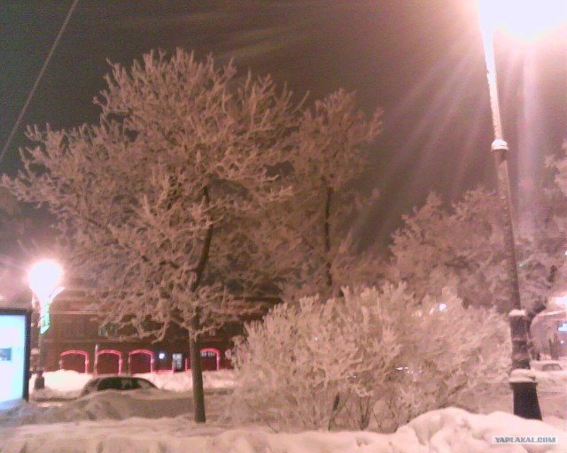 Зима в Питере - красота!