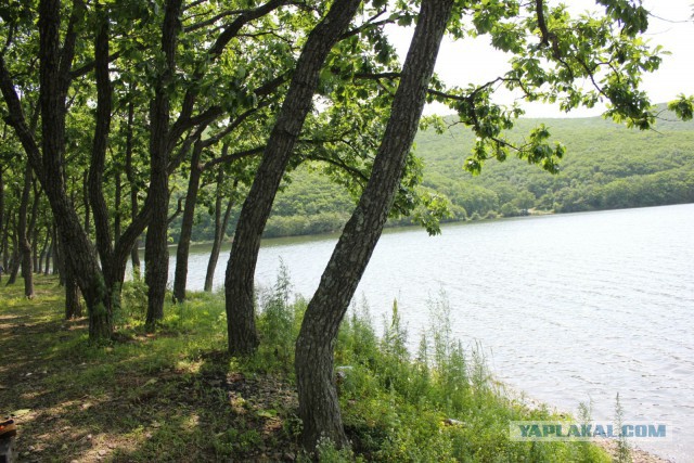 Природа Приморского края