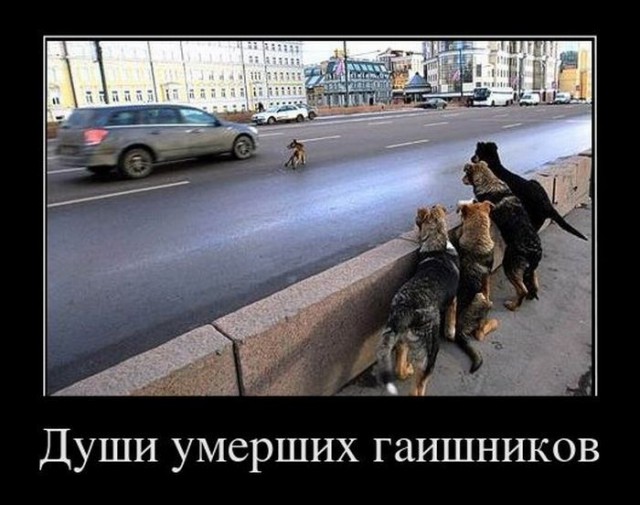 Комментарии из социальных сетей
