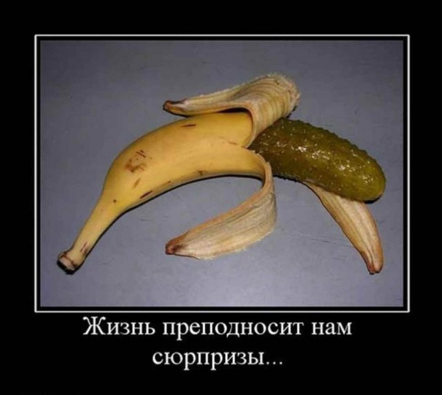 Свежие смешные комментарии из социальных сетей