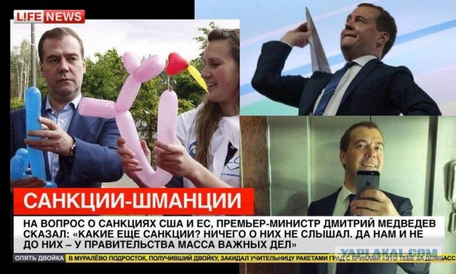 Какие нах санкции, у меня тут шмель!