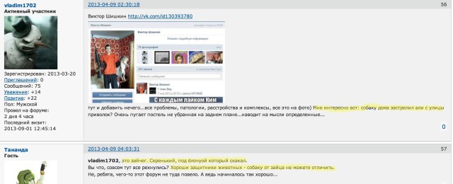 На Урале за одну ночь убили десятки собак