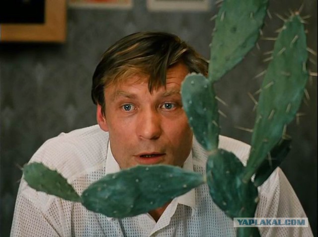 10 причин, почему мужчины плохо занимаются сексом