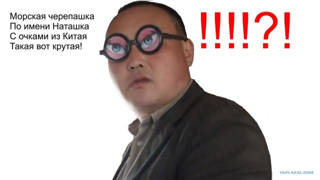 Мишель Тело и вообще иностранные тексты песен