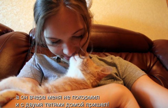 Сборная солянка