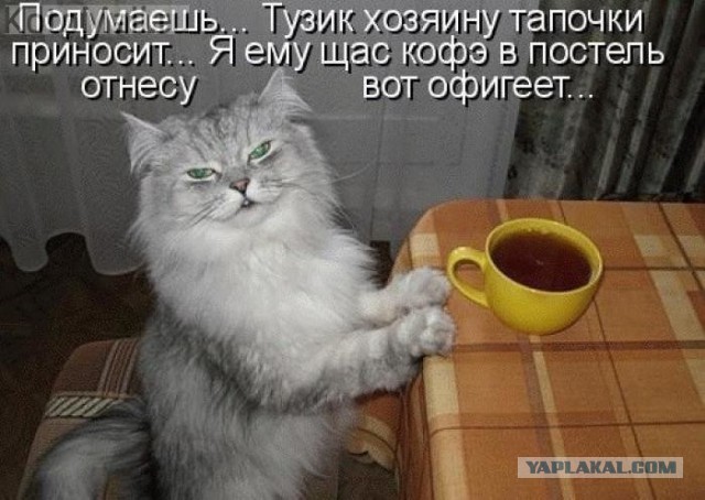Картинки