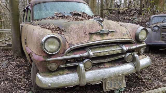 Неандерталь автомобильный