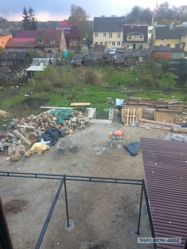 Крякнет ли серый гусь?