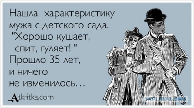 Порция картинок из сети