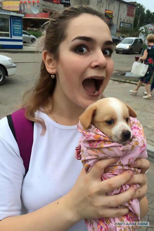 Жуткие истории невинных фотографий.