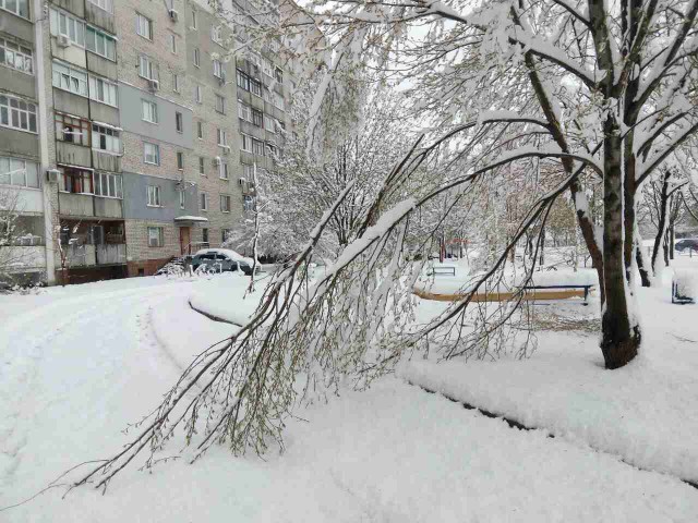 Погода Харьков сегодня!