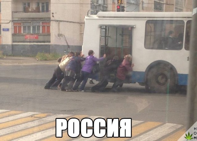 Подборка безудержного веселья