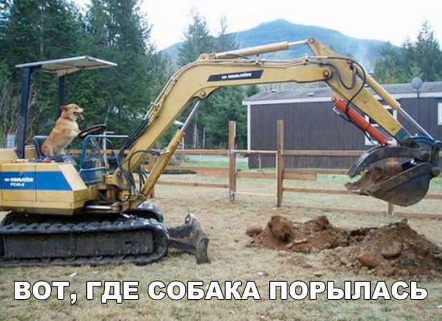 Подборка интересных и веселых картинок