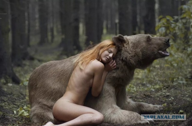 Мишки любят девушек