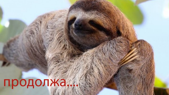 Они отточили свои навыки в лени до совершенства.