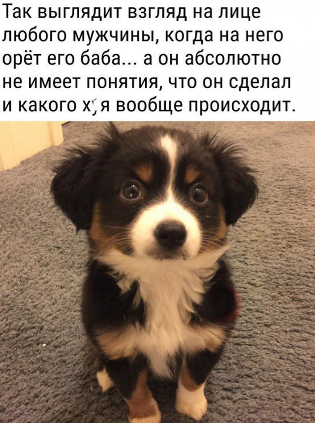 Кто работал и устал? Неадеквата час настал!