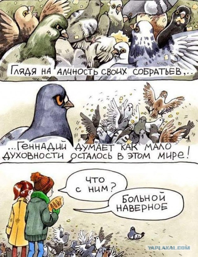 Из-за акционных кружек с игрушками покупатели устроили давку в магазине