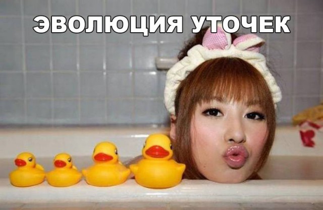 Немного картинок на этот вторник