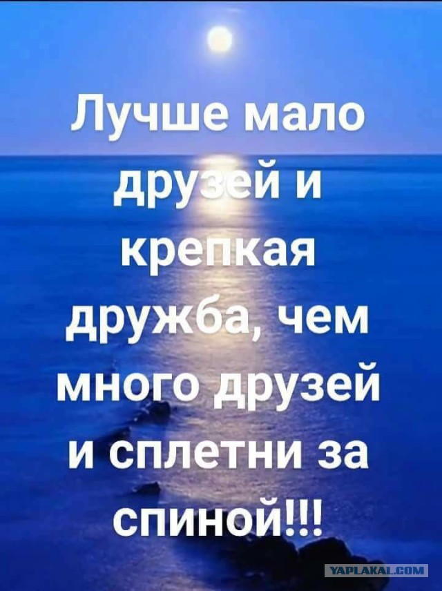Чудики из социальных сетей