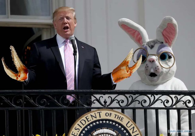 Пасхальная Трампожаба
